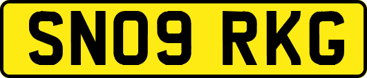 SN09RKG