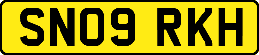 SN09RKH