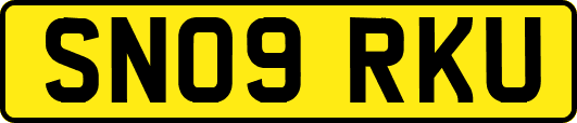 SN09RKU