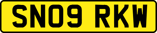SN09RKW