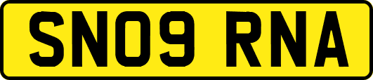 SN09RNA