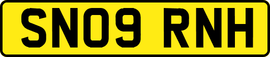 SN09RNH