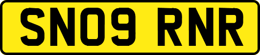 SN09RNR
