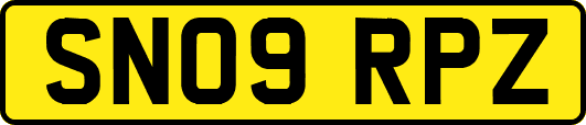 SN09RPZ