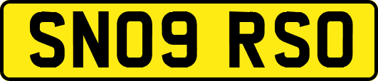 SN09RSO