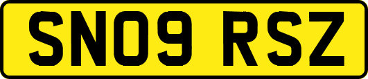 SN09RSZ