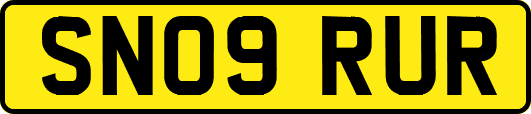 SN09RUR