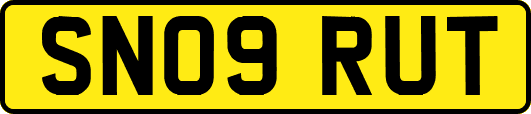 SN09RUT