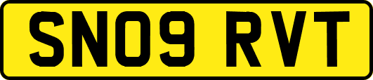 SN09RVT