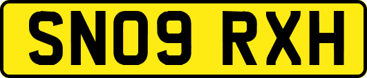 SN09RXH