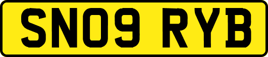 SN09RYB