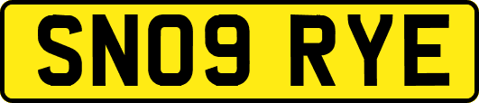 SN09RYE
