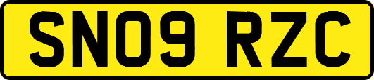 SN09RZC