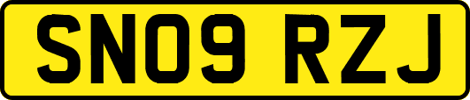 SN09RZJ