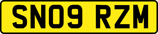 SN09RZM