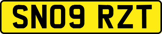 SN09RZT