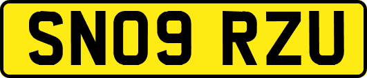 SN09RZU