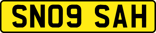 SN09SAH