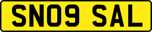 SN09SAL