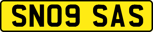 SN09SAS