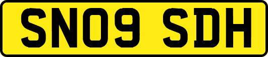 SN09SDH