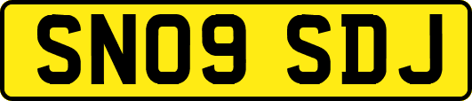 SN09SDJ