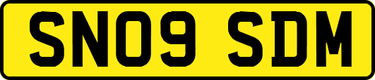 SN09SDM