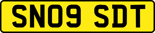 SN09SDT