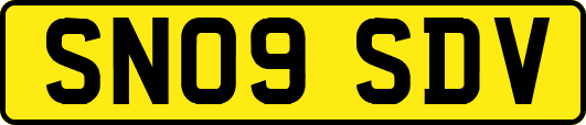 SN09SDV