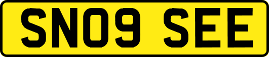 SN09SEE