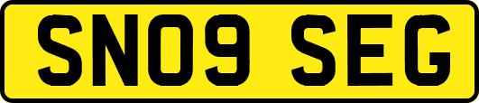 SN09SEG