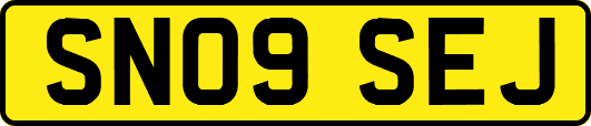 SN09SEJ