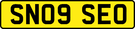 SN09SEO