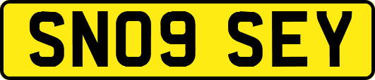 SN09SEY