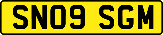 SN09SGM