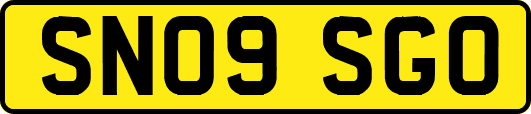 SN09SGO