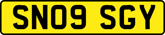 SN09SGY