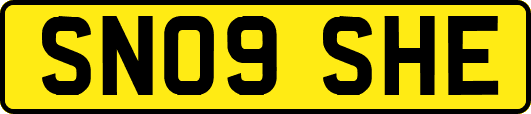 SN09SHE
