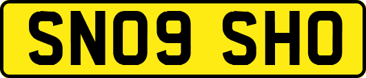 SN09SHO