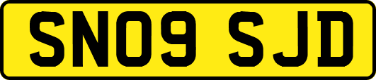 SN09SJD