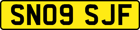SN09SJF