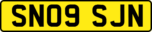 SN09SJN