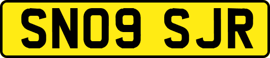 SN09SJR