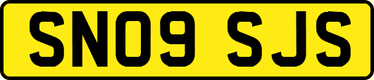 SN09SJS