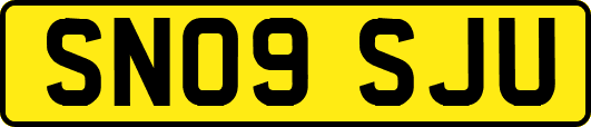 SN09SJU