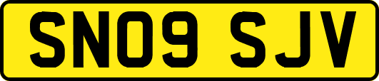 SN09SJV