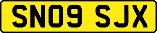 SN09SJX