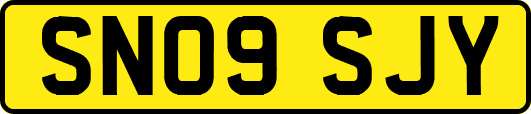 SN09SJY