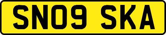 SN09SKA