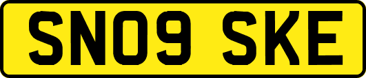 SN09SKE